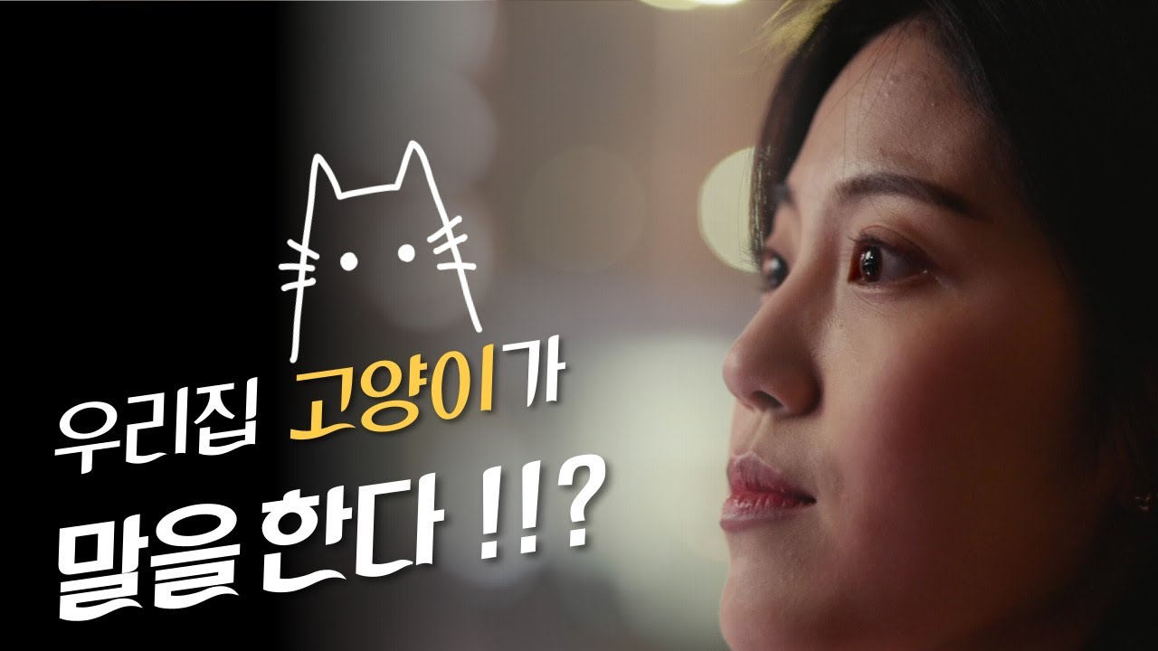 좋아해요... - YouTube