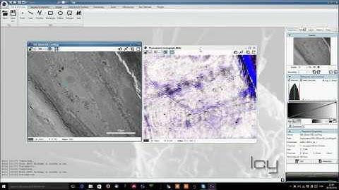 1 Introduction To Icy 1