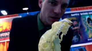 A Bat Skull the Size of a Polar Bears