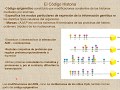 Las bases moleculares de la epigenética I. Remodelación de la Cromatina - El Código Histona.