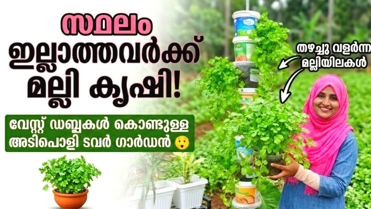 💯%വിജയം!സ്ഥലം ഇല്ലാത്തവർക്ക് മല്ലി കൃഷി|വെസ്റ്റ് ഡപ്പകൾ കളയണ്ട അടിപൊളി ടവർ കൃഷി|home garden ideas 