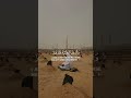 كل نفس ذائقة الموت تلاوة تأسر القلوب ياسر الدوسري قرآن 