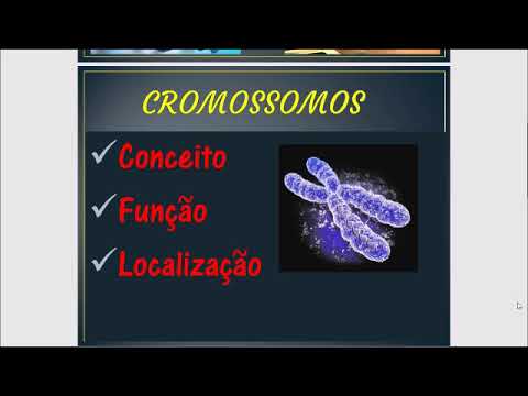 Cromossomos - O que é Cromossomos?