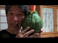 carrot pumpkin bass ocarina