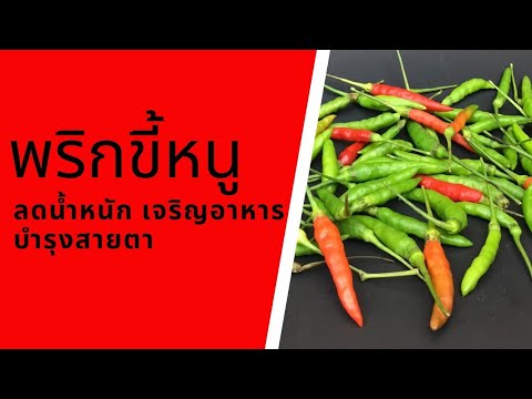 ประโยชน์ของพริกขี้หนู | Chilli pepper | กินผักเป็นยา