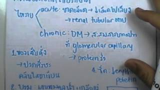 ormBio ver2 : ระบบขับถ่าย ตอน03