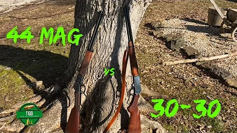 44 Magnum VS 30-30 | 100 Yards Hunting Range Energy Comparison | Lever Action Deer Hunting