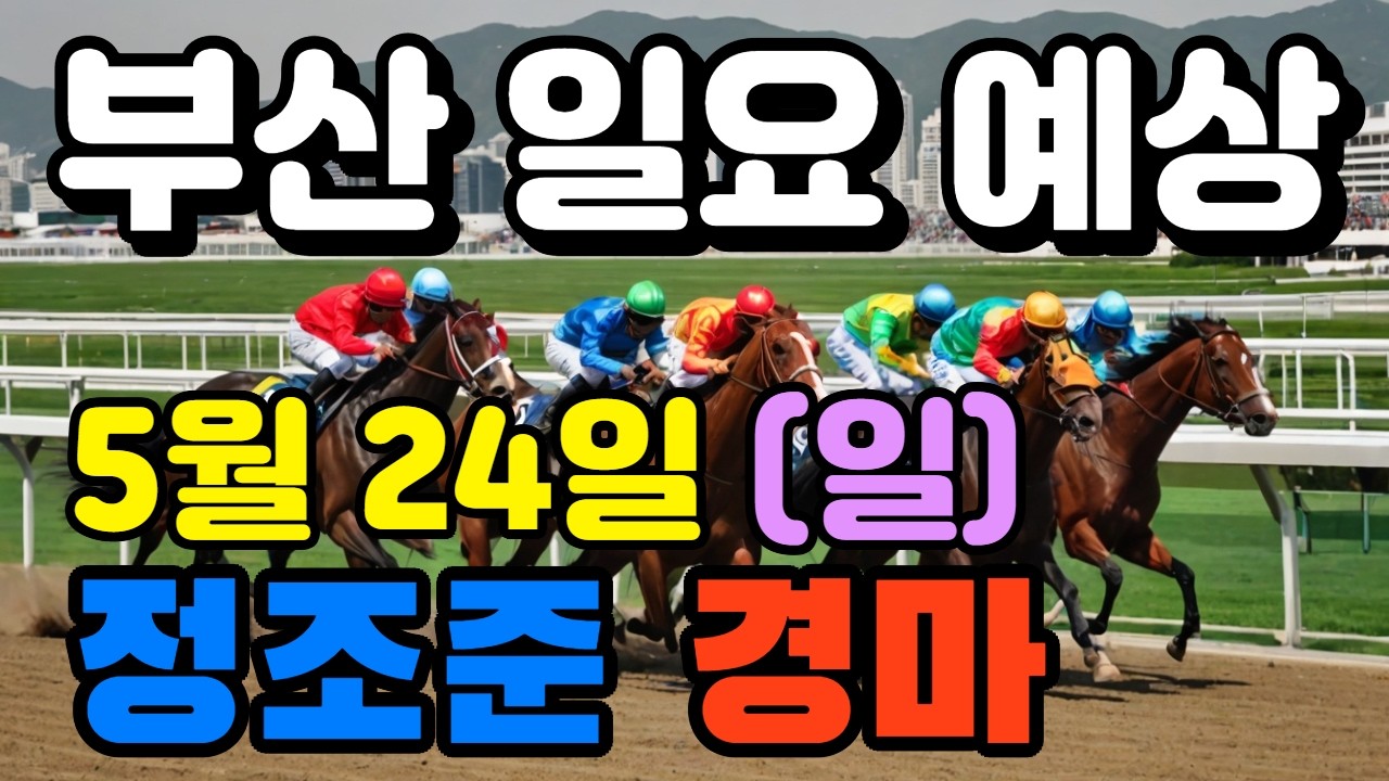 🔴 5월 24일 부산 일요 예상 !!!  🔴 제주·서울·부산 경마 고배당 가능성 분석｜정조준 AI 경마 명승부 예측🔴