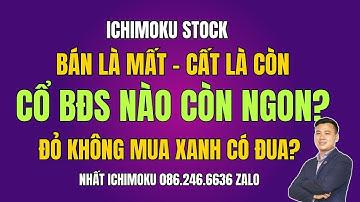 Phân tích cổ phiếu bất động sản NVL PDR  SCR CII DIG DXG Nhận định thị trường, bán là mất cất là còn