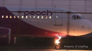 Peach A320-214 JA802P@TPE