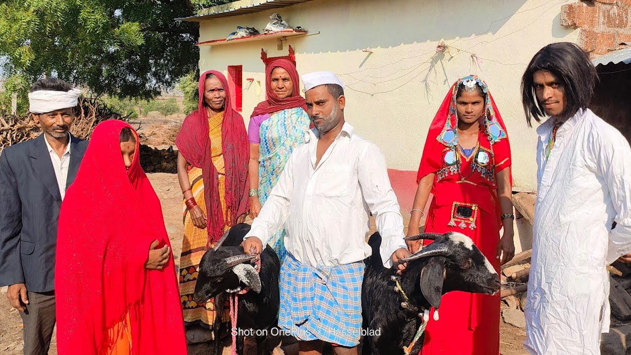 Sasaro Dasarav Kide  Ek  Jamayin Chot Padi Dekh 