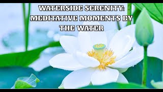 Waterside Serenity Meditative Moments by the Water | Positive Waves | Meditation | Calming | Calm