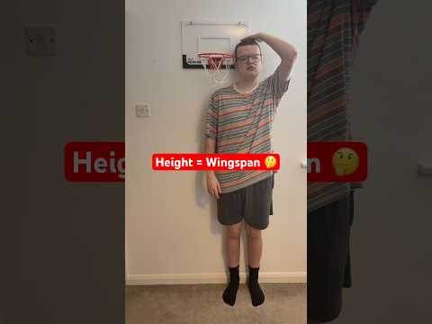 Height = Wingspan 🤔