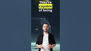 Goldfish Have Better Memory Than You Think#goldfish #MythBusted#sciencefacts  #viralvideo#funfacts