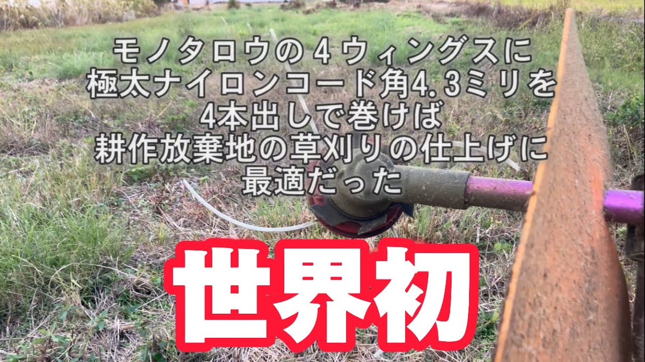 草刈りしよう🇯🇵耕作放棄地の草刈りは楽しい39 4本出しの叩き出し