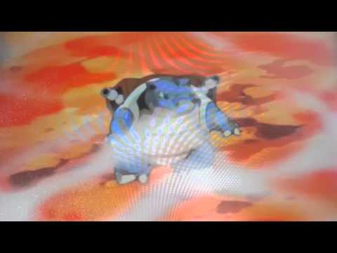 Charizard vs Blastoise