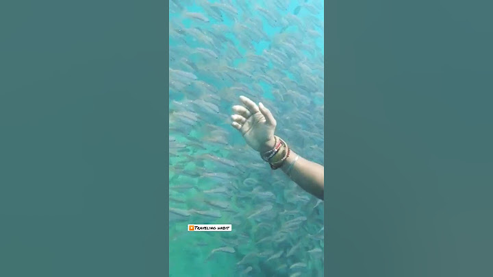 Scuba Diving at Neil Island Andman & Nicobar https://youtu.be/h-x3rWPEgNE