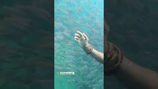 Scuba Diving at Neil Island Andman & Nicobar https://youtu.be/h-x3rWPEgNE