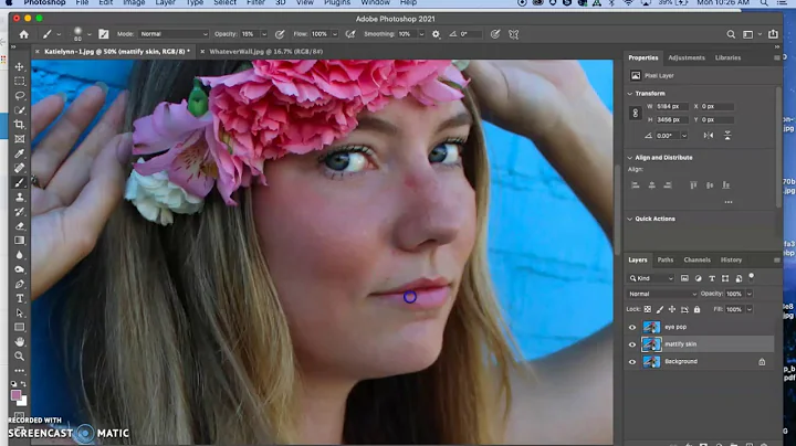 Portrait Photoshop Tutorial   Sara McGregor
