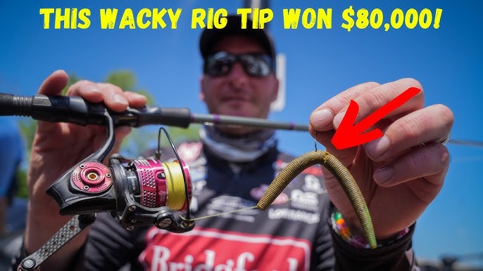 UNDERWATER SENKO: Wacky Rig vs. Texas Rig vs. Weighted Wacky Stick