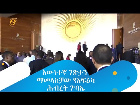 እውነተኛ ገጽታን ማመላከቻው የአፍሪካ ሕብረት ጉባኤ