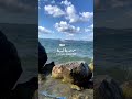 قال لي انطريني برجع بالصيفية زياد الرحباني فيروز اكسبلور تيك توك تصويري