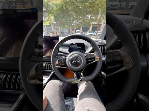 Video BYD Atto 3 Electric Startup #shorts