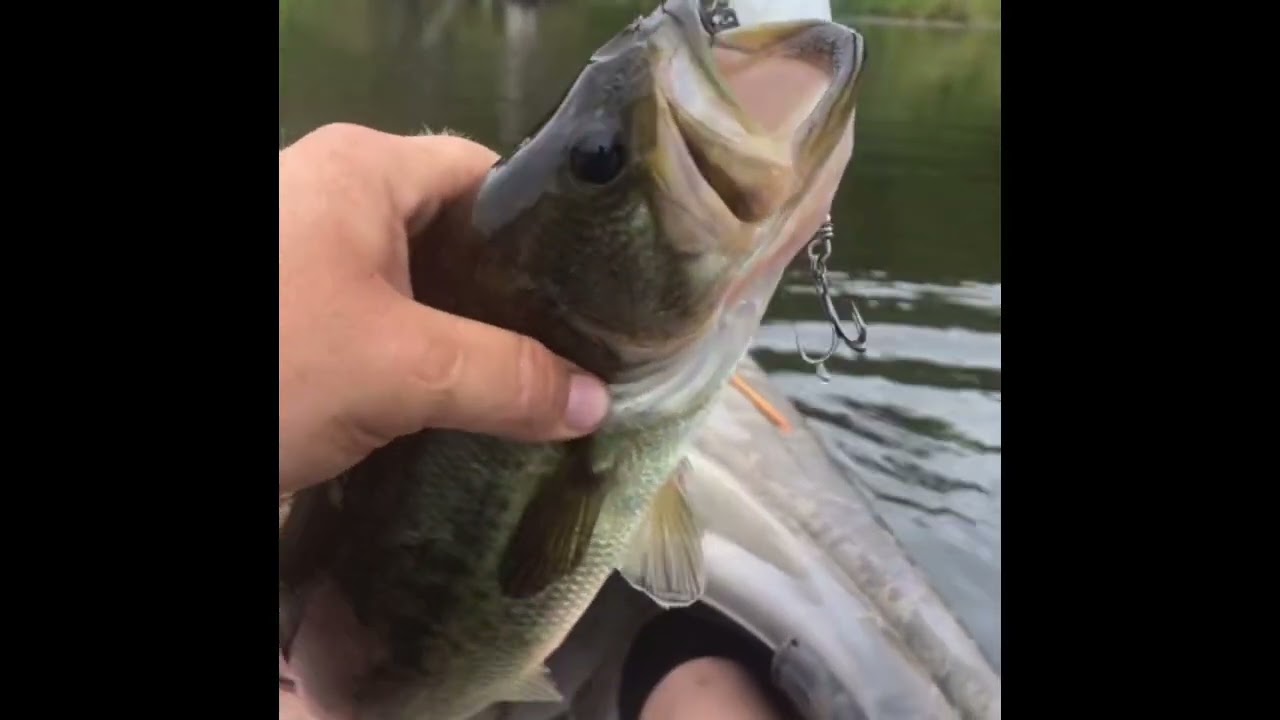 Kayak bass fishing