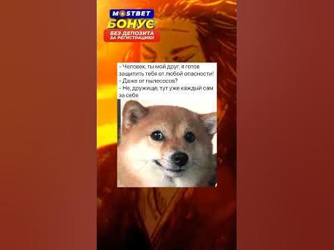 #memes #приколы #мемы #ржака #ржака - YouTube