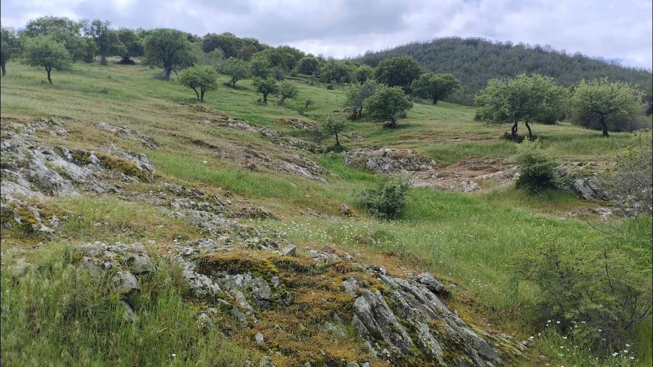 Παραδοσιακά τραγούδια | Δολίχη 2007