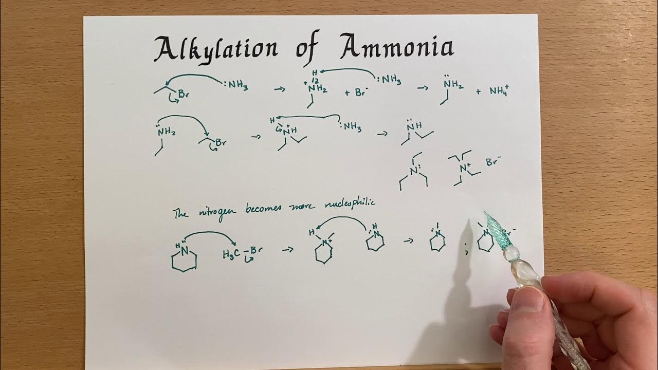 Alkylation of ammonia and amines YouTube