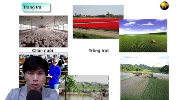 Tiết 11 một số hình thức tổ chức lãnh thổ nông nghiệp