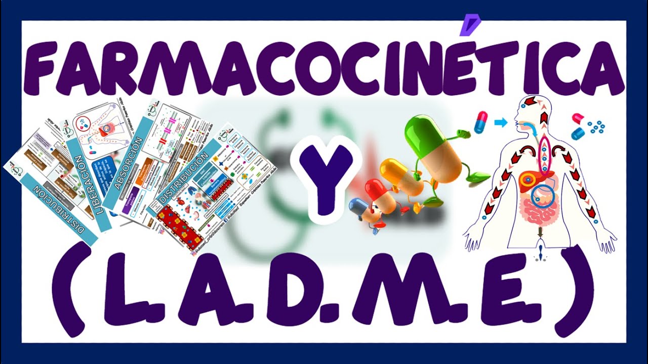 FARMACOCINÉTICA ABSORCIÓN DISTRIBUCIÓN METABOLISMO ELIMINACIÓN | GuiaMed -  YouTube