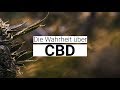 Die Wahrheit über CBD