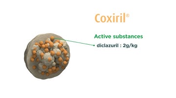 Coxiril