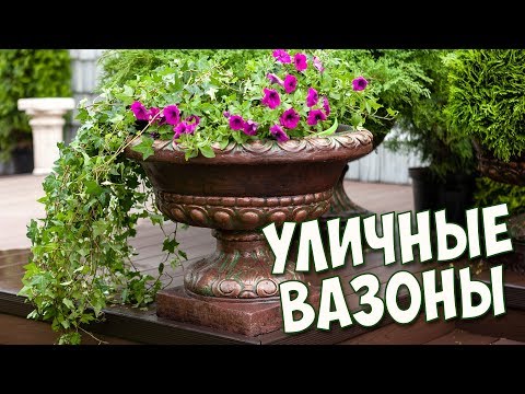 Декоративные Вазоны ✅ Цветочные композиции 🌸 где купить?