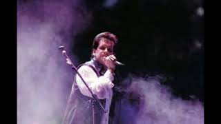 Video thumbnail of "DONNIE MUNRO EX RUNRIG - THE GARDEN BOY LIVE!"