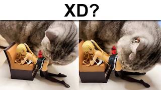 solo 10 minutos de MEMES