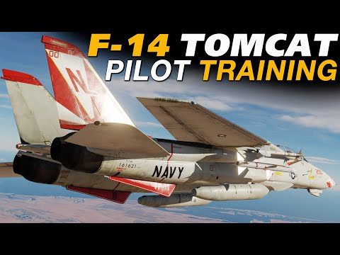 Training A New DCS F-14 Tomcat Pilot from the RIO Seat!