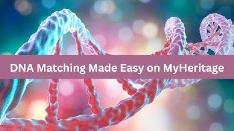 DNA Matching Made Easy on MyHeritage