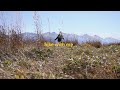 秋の山を歩く | 森暮らし | 八ヶ岳 | Autumn vibes