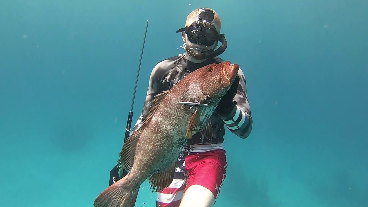 Free Diving & Spearfishing for Hogfish & Grouper in Port Lucuya Ep 1 YouTube