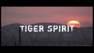 Watch Tiger Spirit Trailer