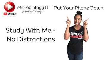 The Forgotten Organ: Why Your Gut Microbiome Controls More Than You Think