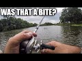 Do you know when you have a "BITE"? (Fishing Tips for Beginners)