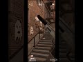 Swat mobile game gameplay.🎯