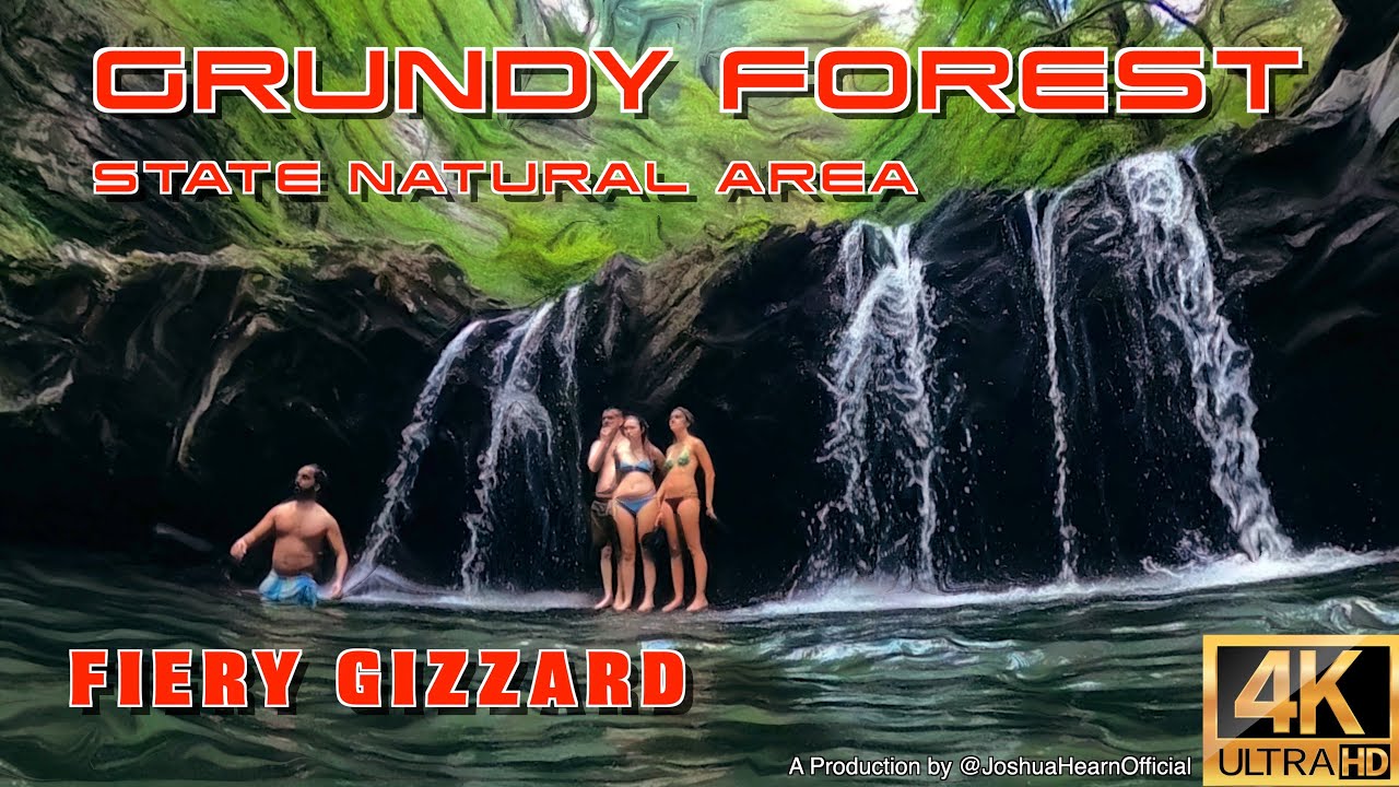 Hike Fiery Gizzard Trail to Raven's Point, Dog Hole Trail to Sycamore Falls in Grundy Forest
