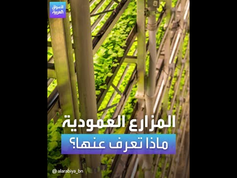 المزارع العمودية ماذا تعرف عنها