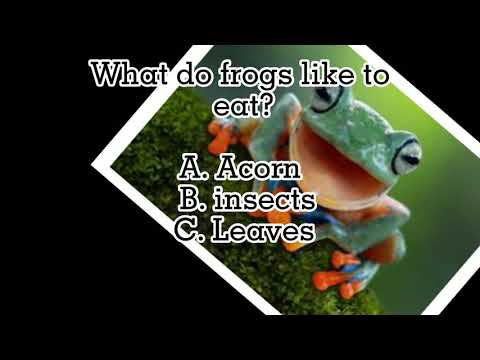 Animals and Their food. - YouTube