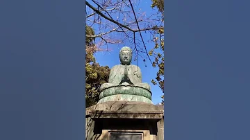 Japan Life Explorer 18 Nippori Station And The Famous Yanaka Ginza Shorts 